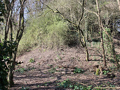 The lower colliery tip at Paulton basin, March 2022
