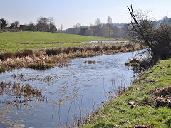 
The Paulton terminus basin of the Somerset Coal Canal, March 2022