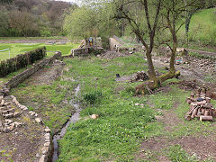 Along the Thames and Severn Canal between Daneway and Sapperton Tunnel, April 2024