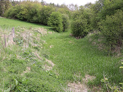 Along the Thames and Severn Canal between Daneway and Sapperton Tunnel, April 2024