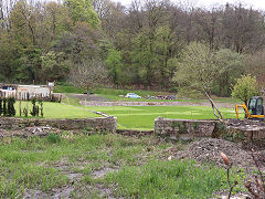 Along the Thames and Severn Canal between Daneway and Sapperton Tunnel, April 2024