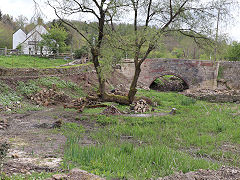 Along the Thames and Severn Canal between Daneway and Sapperton Tunnel, April 2024