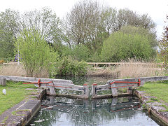 Western arm of the Stroudwater Canal at Saul Junction, April 2024
