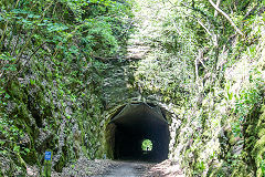 The 180-yard (165-metre) tunnel at Shute Shelve, Axbridge, May 2016