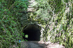 The 180-yard (165-metre) tunnel at Shute Shelve, Axbridge, May 2016