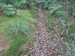 Smitham Leat, August 2024