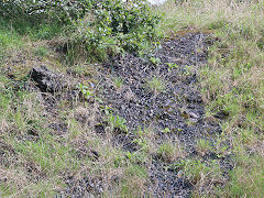 Smitham slag heap, August 2024