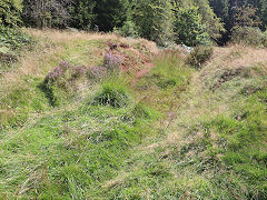 A tramway in Stockhill Woods, August 2024