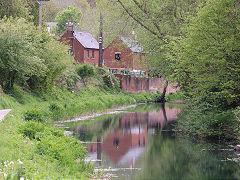 Along the Thames and Severn Canal between Capels Mill and Bowbridge, Stroud, April 2024