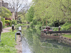 Along the Thames and Severn Canal between Capels Mill and Bowbridge, Stroud, April 2024