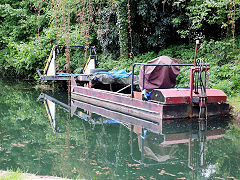 Along the Thames and Severn Canal between Capels Mill and Bowbridge, Stroud, April 2024