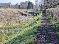 Timsbury bridge on the Somerset Coal Canal, March 2022