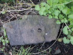 Tramroad sleeper at Timsbury basin on the Somerset Coal Canal, March 2022