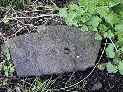 
Tramroad sleeper at Timsbury basin on the Somerset Coal Canal, March 2022