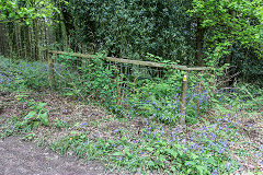 
Danby Lodge air shaft, May 2017