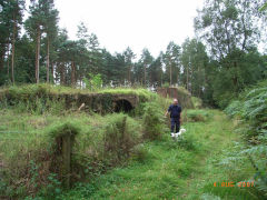 
Moseley Green, New Engine Colliery, August 2007