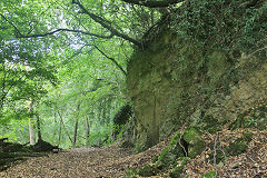 Bishopswood Tramroad heads to Vention Lane, August 2020