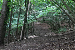 Bishopswood Tramroad heads to Vention Lane, August 2020
