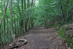 Bishopswood Tramroad heads to Vention Lane, August 2020