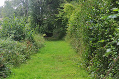 Bishopswood Tramroad heads to Waterscross Farm, August 2020