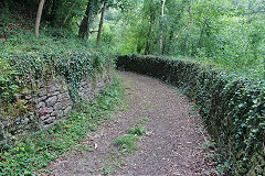 
Bishopswood Tramroad heads to Waterscross Farm, August 2020