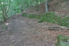 
Bishopswood Tramroad heads to Vention Lane, August 2020