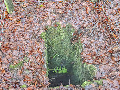 Bixslade Deep Level shaft, January 2022