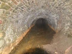Bixslade Land Level, January 2022