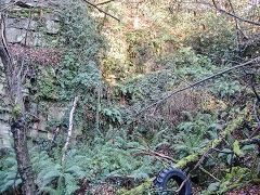 
Land Level quarry, Bixslade, January 2022