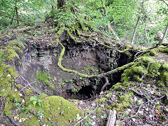 Other mines in Bixslade, c2012, © Photo courtesy of Steve Davies
