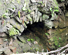 
Other mines in Bixslade, c2012, © Photo courtesy of Steve Davies