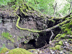 Other mines in Bixslade, c2012, © Photo courtesy of Steve Davies