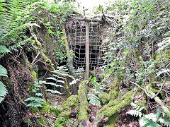 Other mines in Bixslade, c2012, © Photo courtesy of Steve Davies