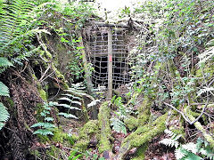 
Other mines in Bixslade, c2012, © Photo courtesy of Steve Davies