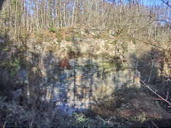 Bixslade Quarries, January 2022