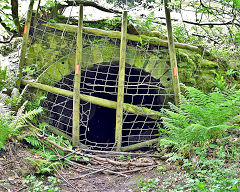 Bixslade Land Level, c2012, Bixslade, © Photo courtesy of Steve Davies