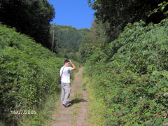 Bixslade Tramroad, July 2005