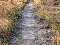 Bixslade Tramroad heading up the valley, January 2022