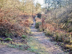 Bixslade Tramroad heading up the valley, January 2022