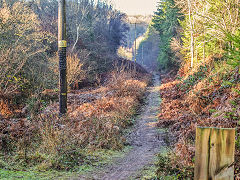 
Bixslade Tramroad heading up the valley, January 2022