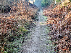 Bixslade Tramroad heading up the valley, January 2022