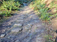 Bixslade Tramroad heading up the valley, January 2022