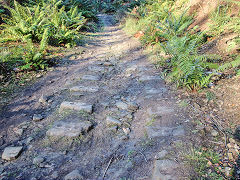 
Bixslade Tramroad heading up the valley, January 2022