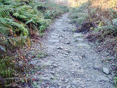 Bixslade Tramroad heading up the valley, January 2022