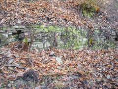 Bixslade tramroad retaining wall, January 2022
