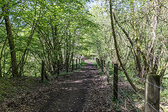 
The S&WR trackbed at Brierley sidings, May 2019