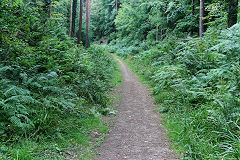 
The tramroad loop at Brierley, August 2020