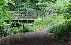 The tramroad loop at Brierley, August 2020