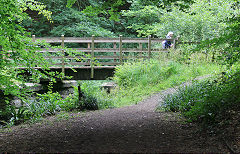 
The tramroad loop at Brierley, August 2020