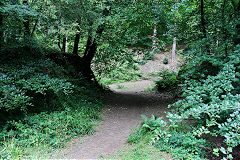 
The tramroad loop at Brierley, August 2020